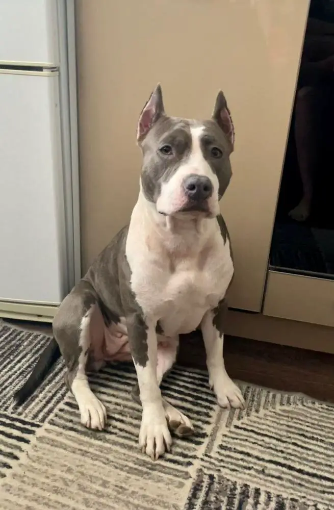 Ivetta Najts iz Sozvezdiya Bliznecov