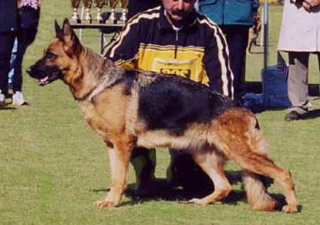 VA3 NASS 2003 Tuba von der Urbecke