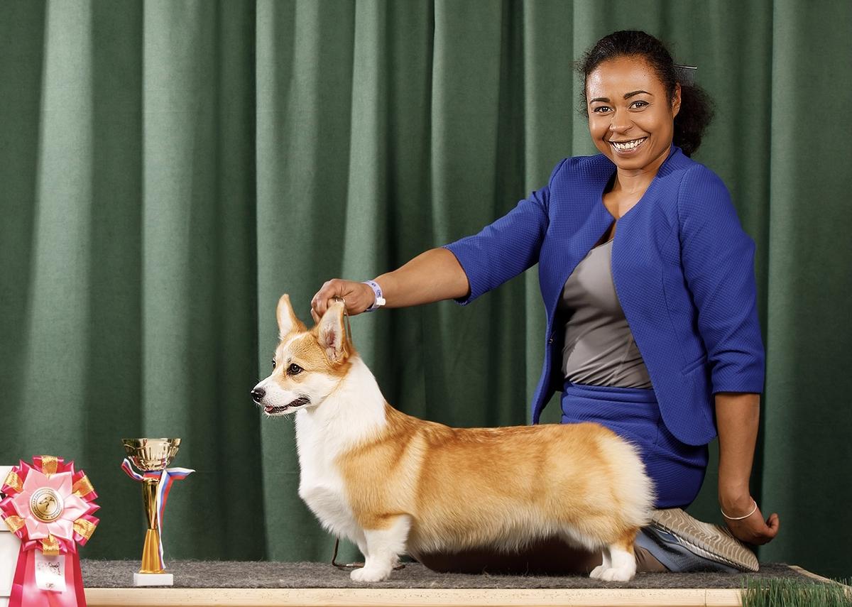 JCH RUS,RKF, JBIS ALTAIR’S VISION IMAGINE