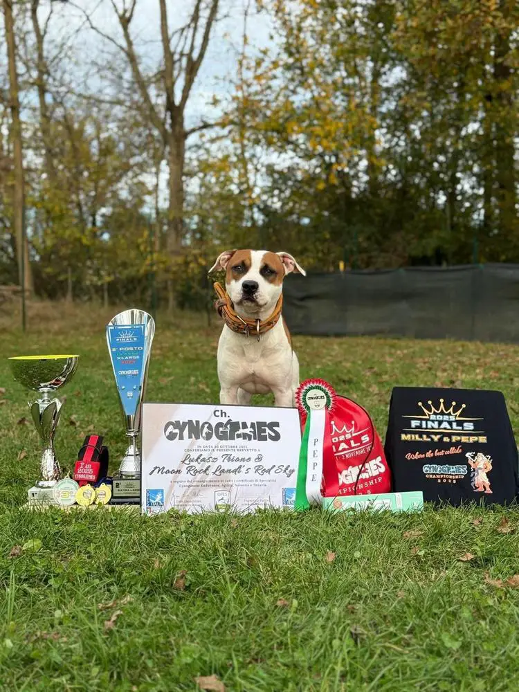 MOON ROCK LANDI'S RED SKY