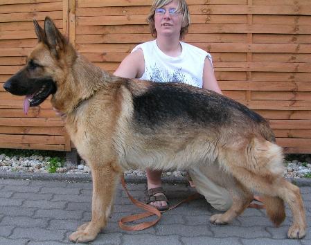 Elfi von den Amperauen