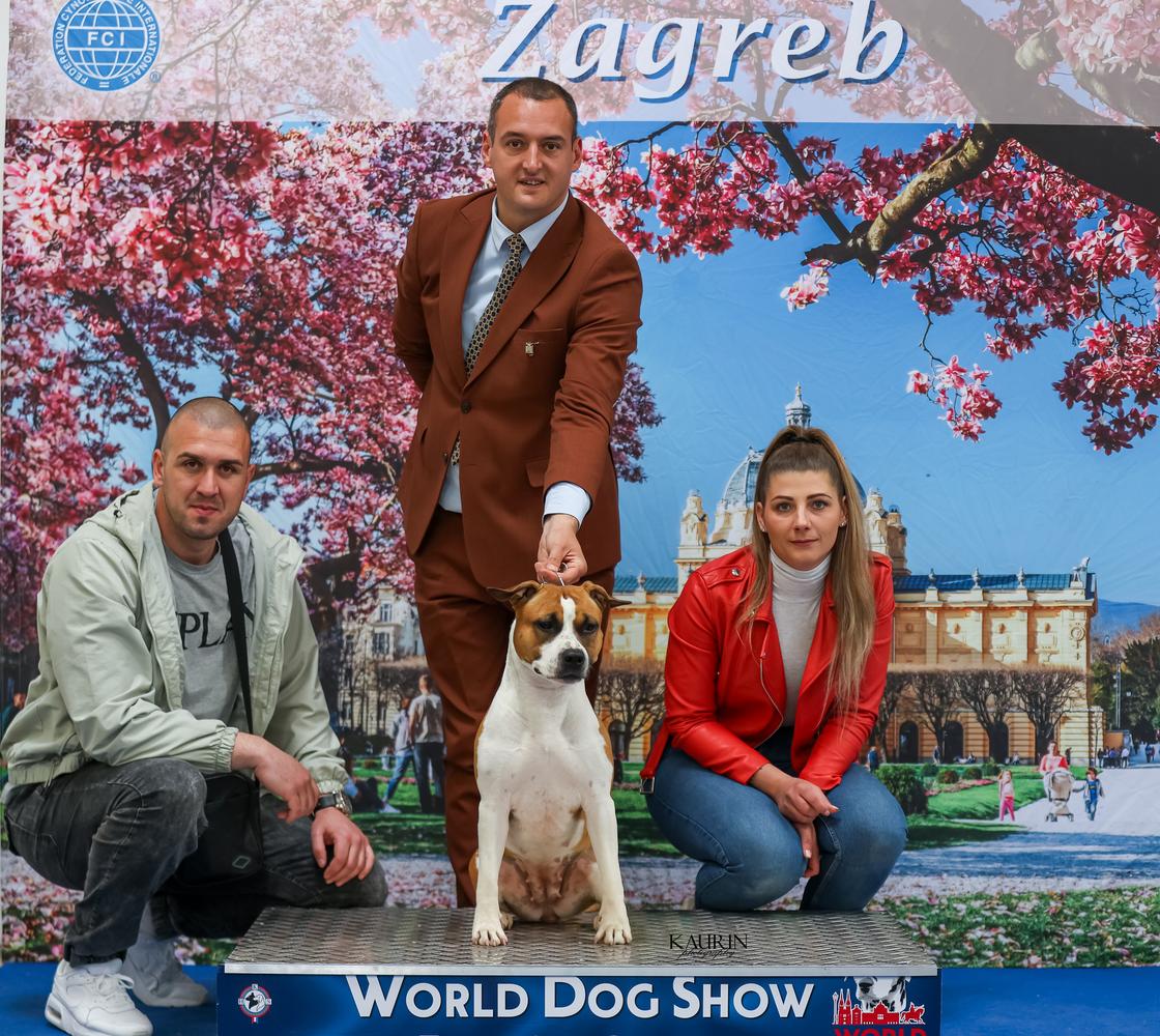 V1,CAC - World Dog Show '24, V3-Euro Dog Show '23, Ch.Srb JC Ring Angels Don't Stop Look at Me