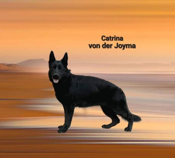 Catrina von der Joyma