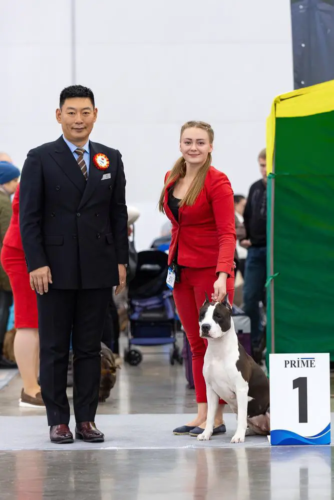 JCH RUS, CH RUS, CH RKF, T1 FAITER DENGER KALYPSO