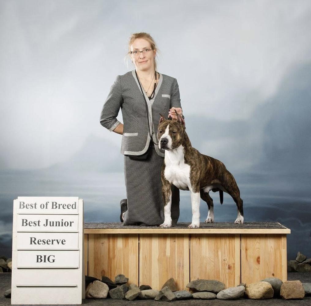 JChRus Hery Excellent King Rebel Sand