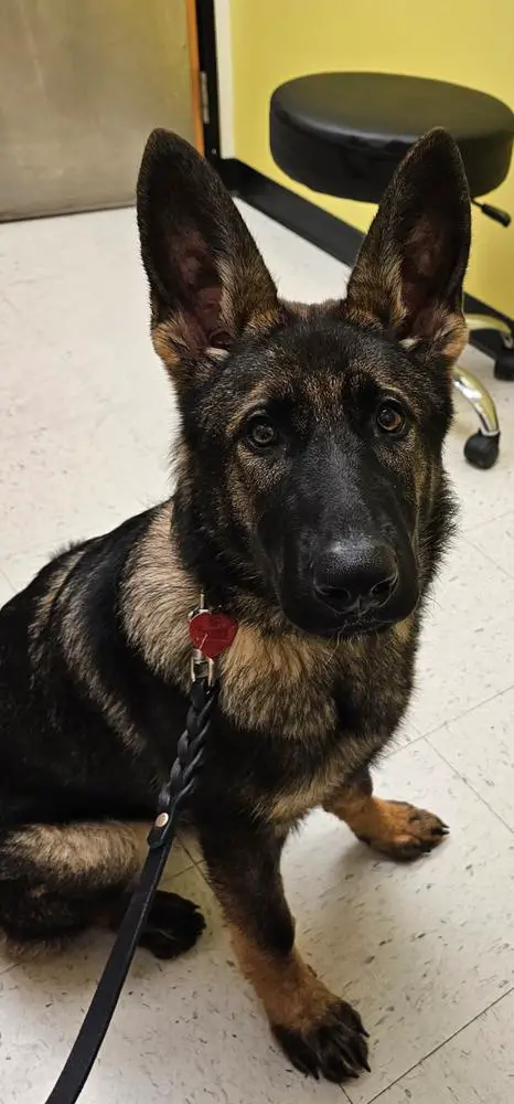 FDC Beta vom Kriegerhaus