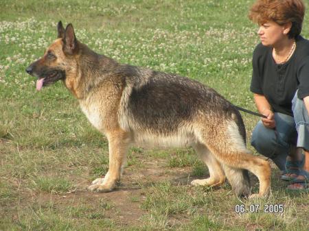 Milva vom Rabenbusch