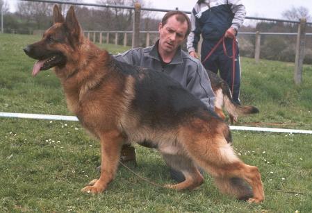 VA6 POLONIA Alf vom Bergmannshaus