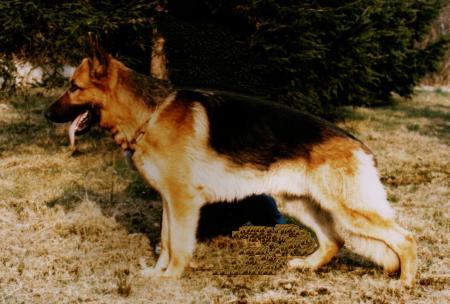 Kanto von den Dolomiten
