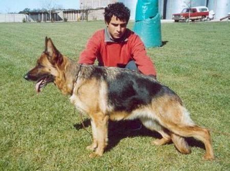 Arinka von Thunder Road