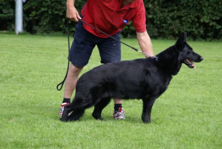 V Xickie von den schwarzen Seeperlen