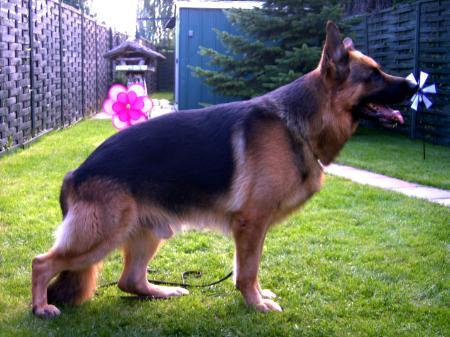 V 1 Cash vom Mönchberg