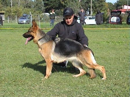 Fendy della Foppa dei Boschi