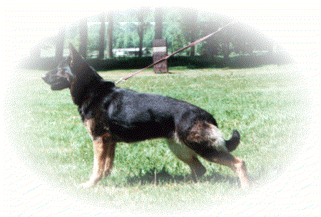 Cess vom Seebergblick