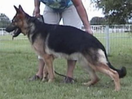 Madonna von den drei Sonnenseen