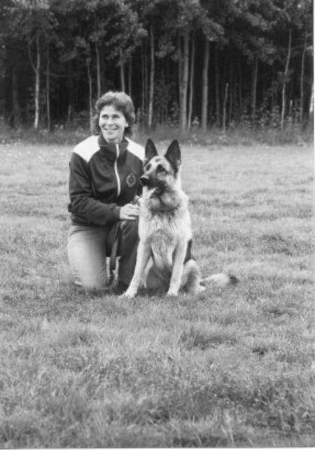 Passat Ilka