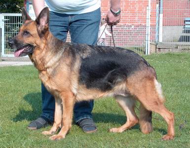 V1 Verena aus der Brunnenstraße