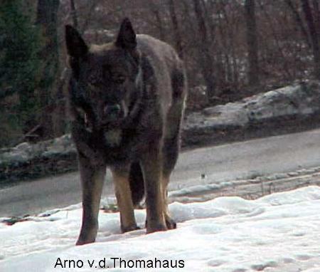 Arno von der Thomahauss