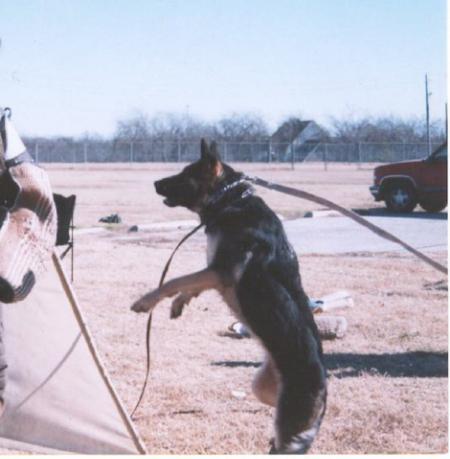 Yutta Van't Priorijhof