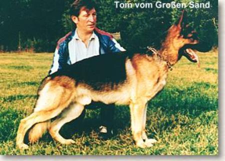 Tom vom Großen Sand