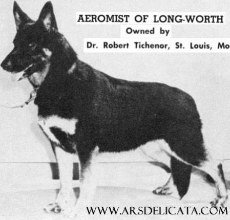 Aeromist of Long Worth