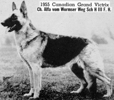 CH Alfa vom Wormser Weg