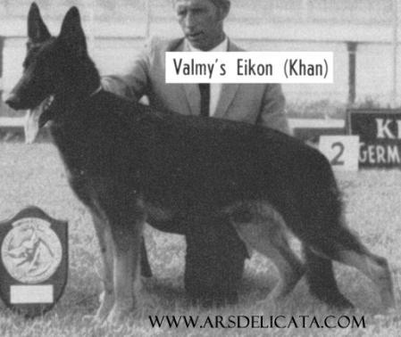 Valmy's Eikon