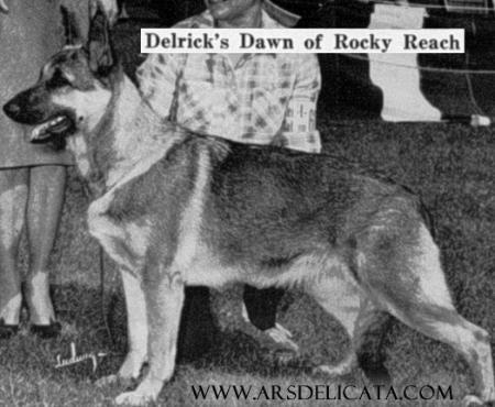 Delrick's Dawn of Rocky Reach