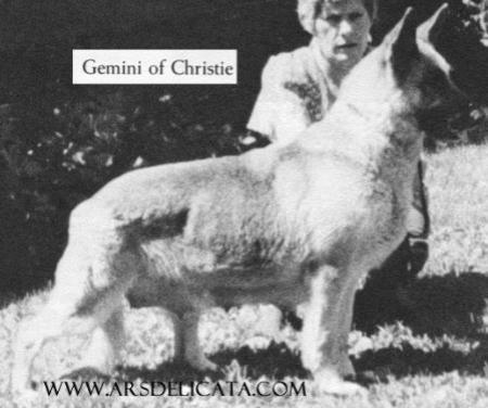 Gemini of Christe