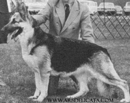 Frolic of Clover Acres