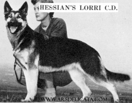 Hessian's Lori