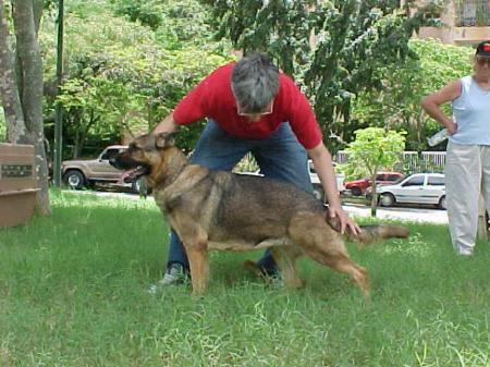 Hilla von der Alegria