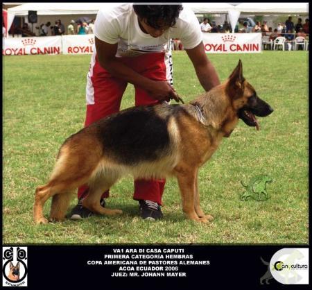 VA1-COAPA & ECU 2006 Ara Di Casa Caputi