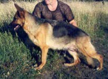 Zilber Vasserfal Grethen