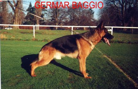 V Germar Baggio