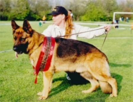 CH (IR) Quarryvale Nero