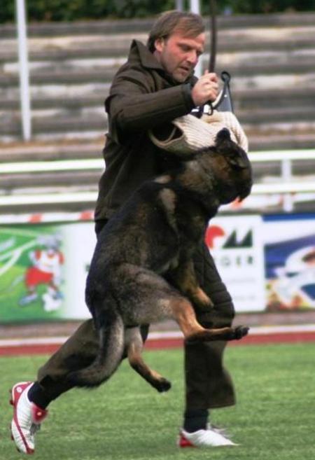 Bandit vom Nordsturm