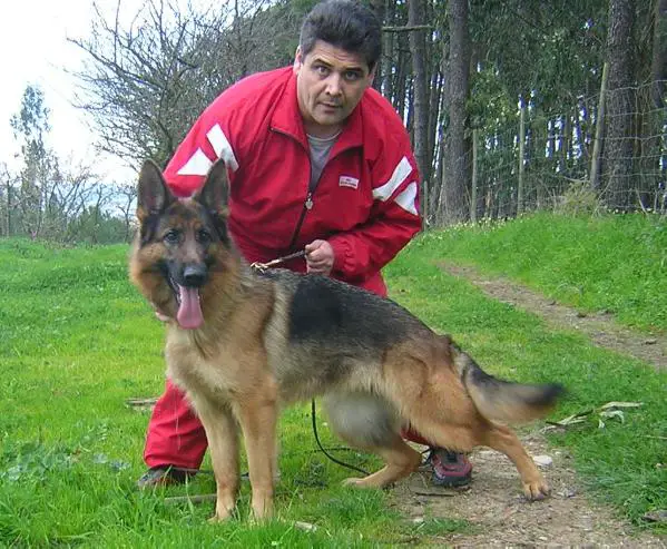 Vanda Du Domaine Des Sorbiers