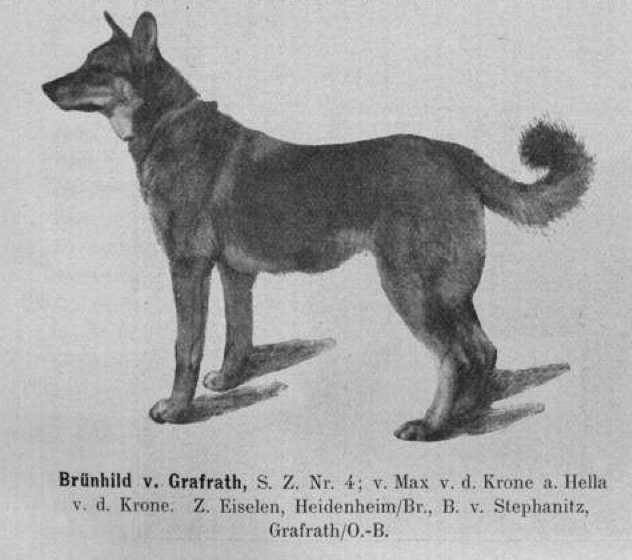 Brünhild von Grafrath