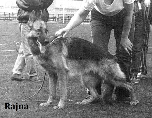 Ungvari Star Fina