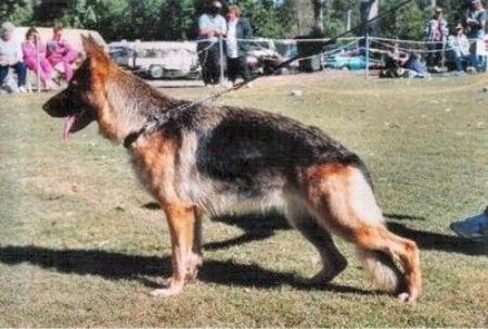 EX. (AUST) Astasia Xcess