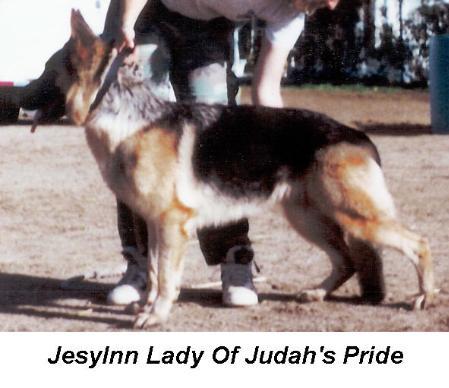 Jeslynn Lady of Judah's Pride