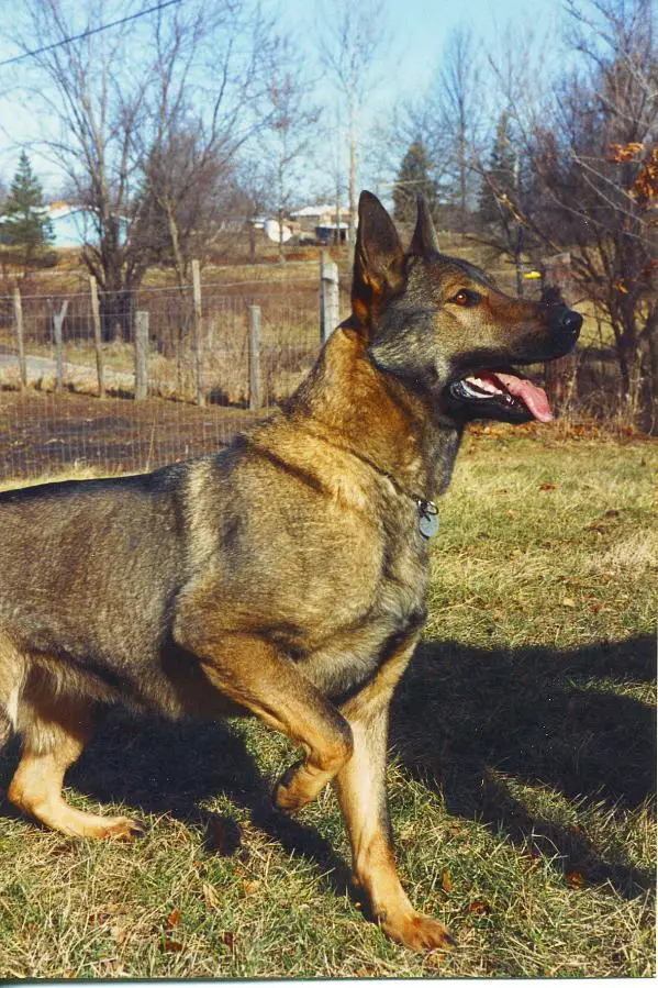 Trommel's Dee Dee Seltzer