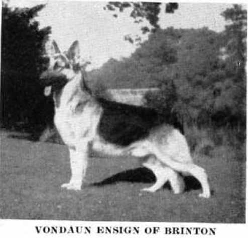 Vondaun Ensign of Brinton