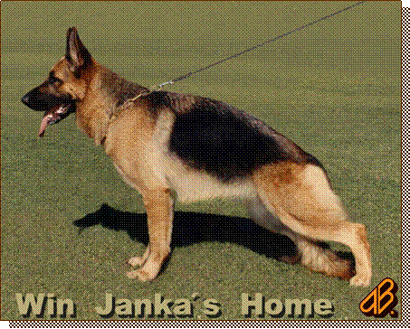 Win Janka's Home