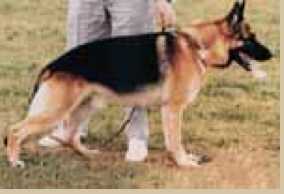 V, CH (UK) Tell De La Maison Bauer [Of Greenveldt]