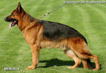 V Visum von der Kupferhälde