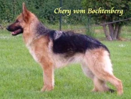 Chery von dem Bochtenberg