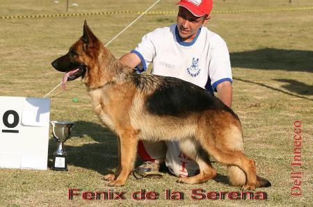 VA1 (BRASIL) Fênix de La Serena