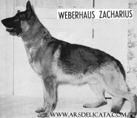 Weberhaus Zacharius